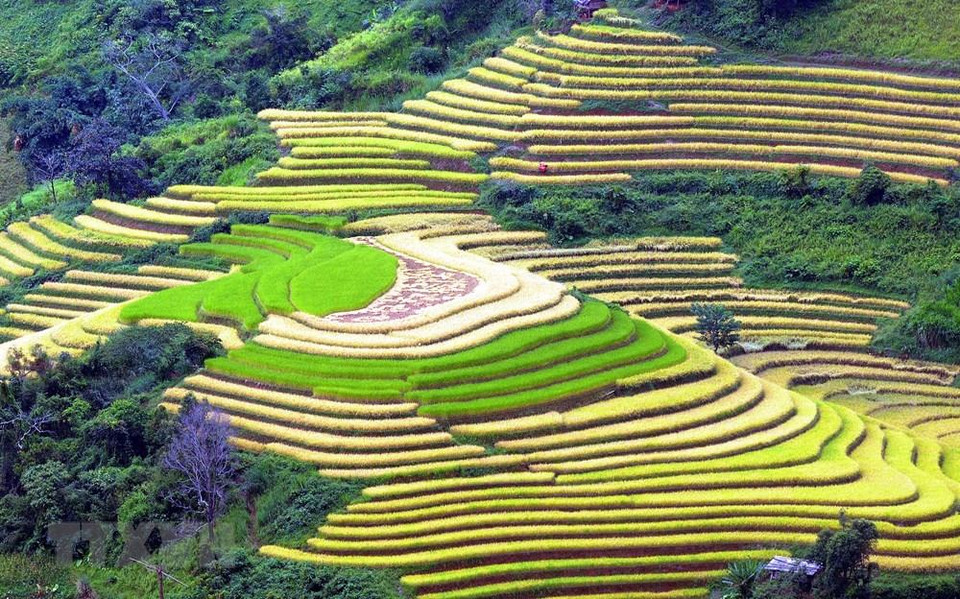 Terrazas en la comuna de Xim Vang, distrito de Bac Yen, en Son La. (Foto: VNA)