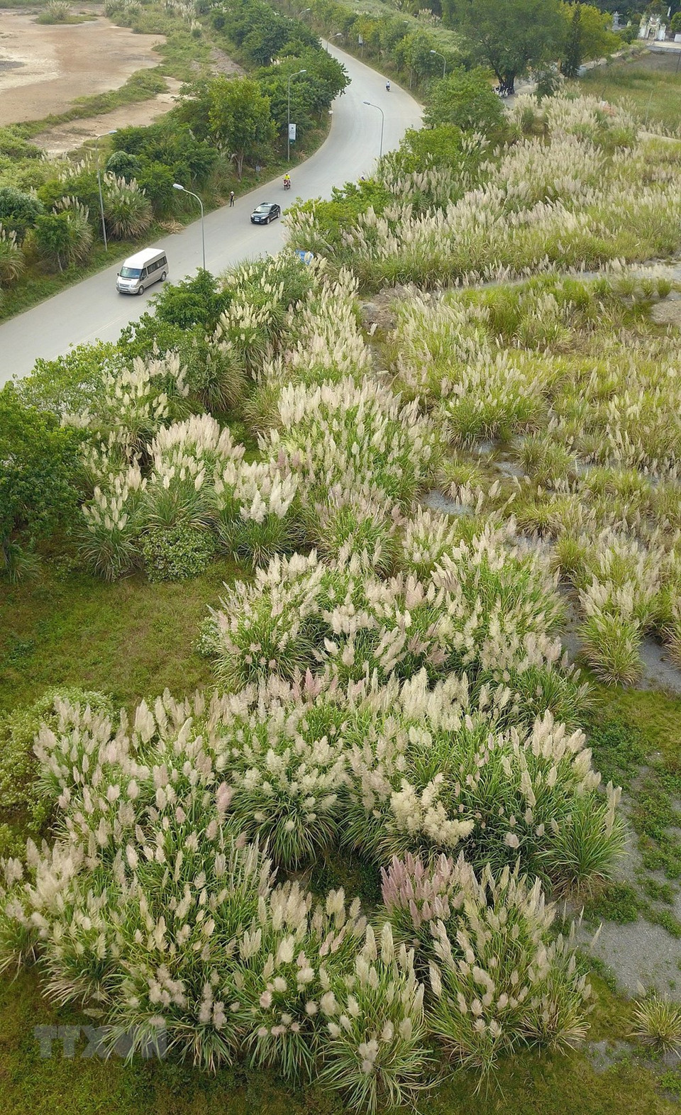 Un panorama pintoresco en Trang An (Foto: VNA)