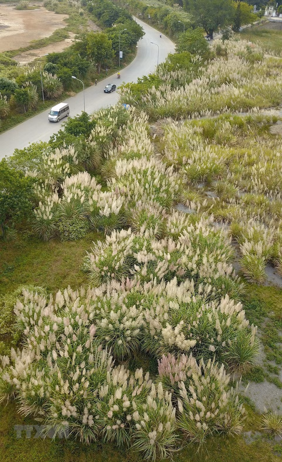 Un panorama pintoresco en Trang An (Foto: VNA)