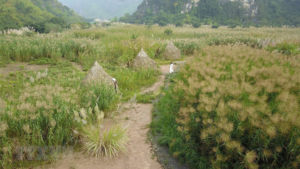 Un panorama pintoresco en Trang An (Foto: VNA)