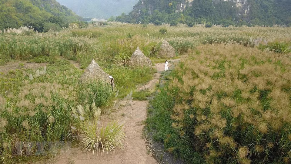 Un panorama pintoresco en Trang An (Foto: VNA)