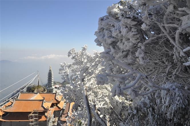 Techo de Indochina cubierto de nieve (Fuente: VNA)