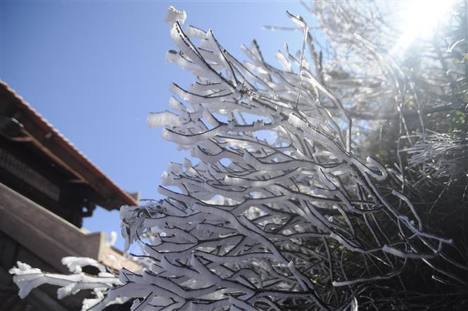 Techo de Indochina cubierto de nieve (Fuente: VNA)