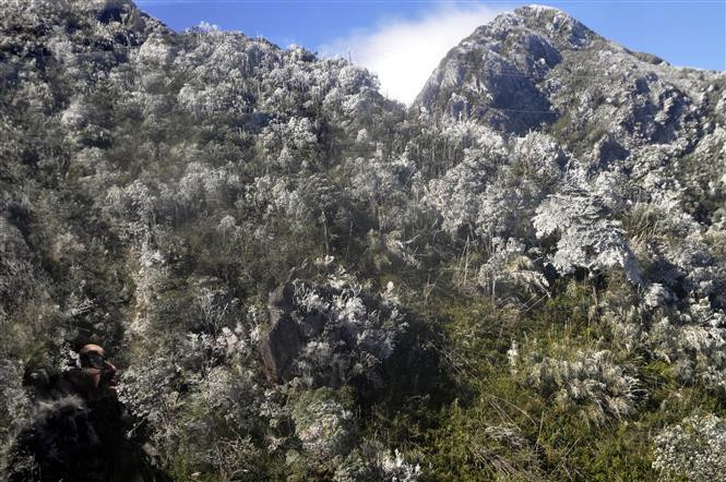 Techo de Indochina cubierto de nieve (Fuente: VNA)