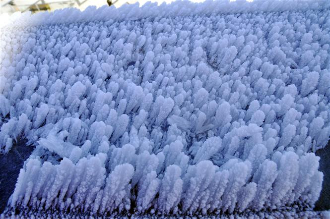 Techo de Indochina cubierto de nieve (Fuente: VNA)