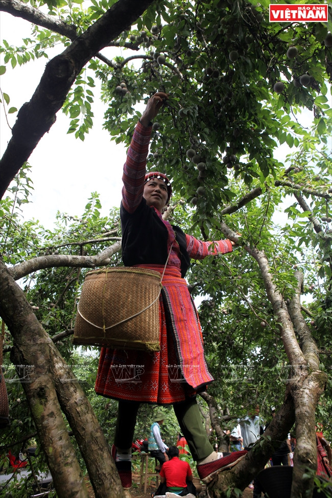 Una muchacha de la etnía Mong