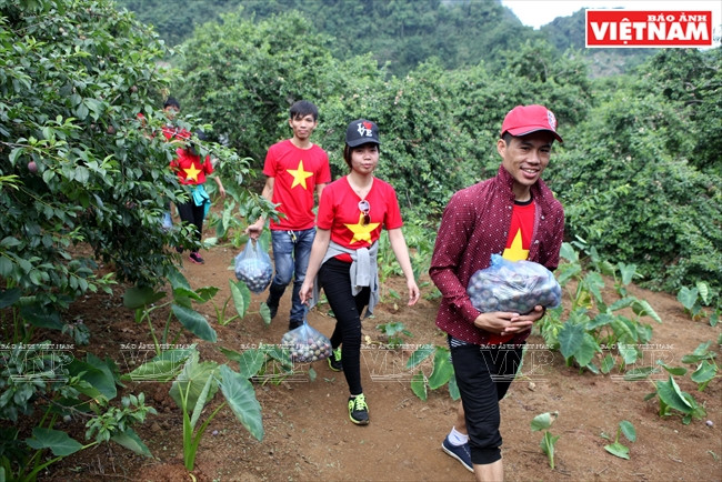Turistas visitan la huerta de Giang Thi Sua, en el caserío Pa Khen, para cosechar el fruto. 