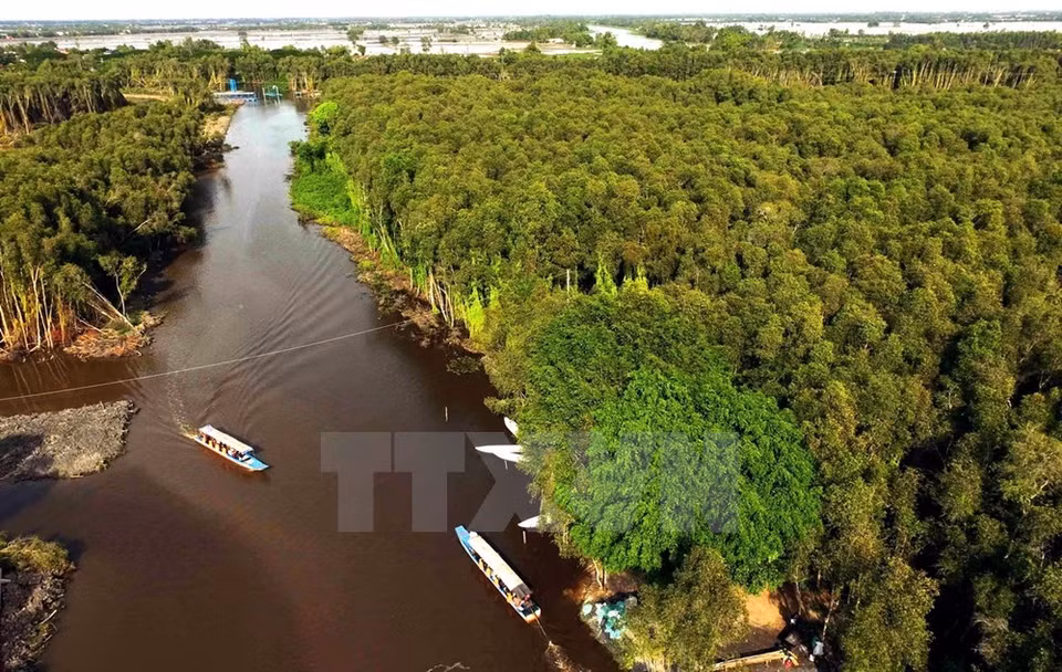 Tan Lap tiene una zona núcleo de 135 hectáreas y área de amortiguamiento de 500 hectáreas (Fuente: VNA)