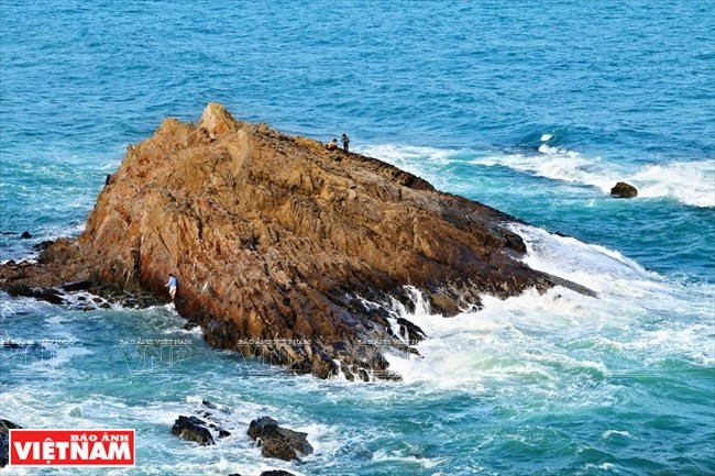 Según los geólogos, estos arrecifes naturales son los más antiguos de Vietnam (Fuente: VNA)