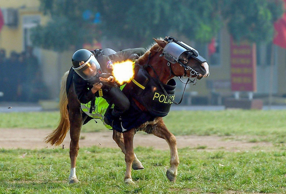 El soldado de la Policía Móvil de Caballería realizan con habilidad el ejercicio de acostarse y disparar al blanco a caballo. (Fuente:VNA)