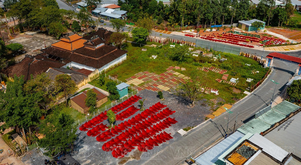 Impresionante escena colorida típica del pueblo de oficio de esteras de Dinh Yen, en la comuna homónima, en el distrito de Lap Vo, de la provincia de Dong Thap (Fuente:VNA)