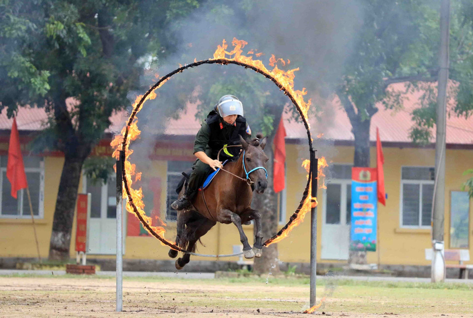 Los soldados de la Policía Móvil de Caballería dominan los conocimientos básicos y los métodos de entrenamiento. (Fuente: VNA)