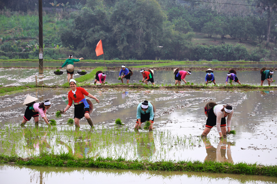 Rostros alegres de los campesinos que van al campo. (Foto: VNA)