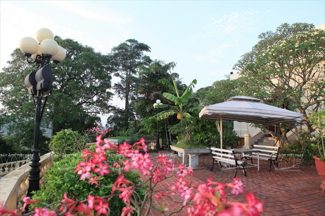 Un espacio verde con plantas y flores (Fuente: VNA)