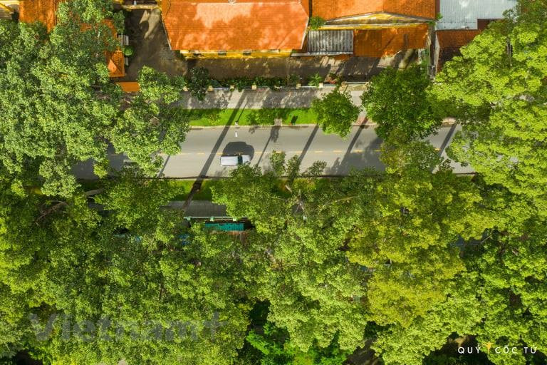 En cuanto a las medidas de salud, la ciudad lleva a cabo investigaciones epidemiológicas de manera urgente, muestreos para pruebas y cribado comunitario. En la foto: Una calle de Ciudad Ho Chi Minh. (Foto: Vietnam +)