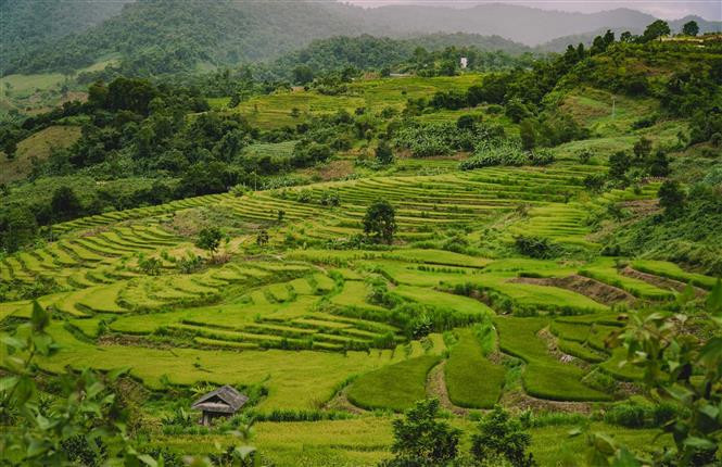 Desde la carretera de la ciudad de Dien Bien Phu a Muong Phang, los visitantes pueden disfrutar de la vista panorámica de las terrazas de arroz de Ta Leng. (Foto: VNA)