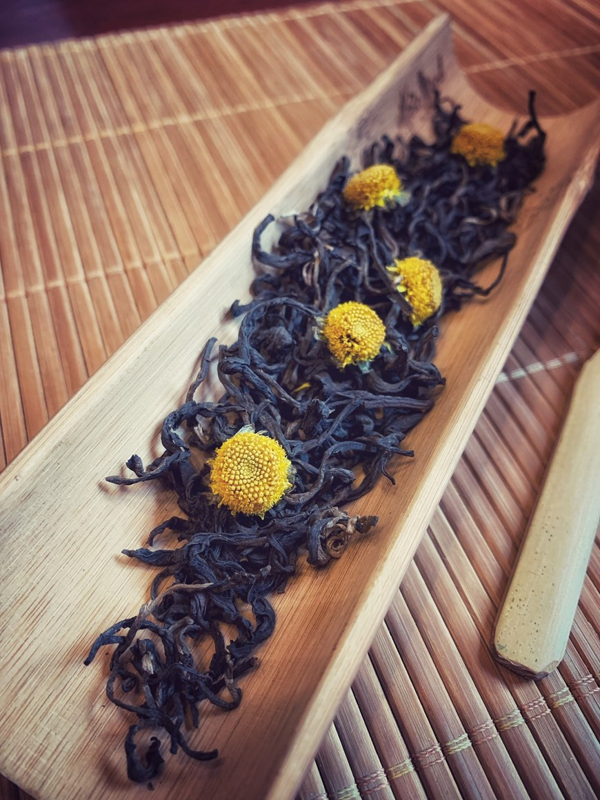 El té seleccionado es té rojo antiguo cultivado en la provincia montañosa de Ha Giang. El té de crisantemo también es rico en hierro, que es importante para el crecimiento y el desarrollo y ayuda a transportar oxígeno a través de la sangre. Además, el té de crisantemo puede proporcionar otros beneficios para la salud como: control de la presión arterial, remedio para la resaca, tratamiento para los piojos y efectos antibacterianos. Se encuentra a menudo en la sección de té de hierbas en muchos supermercados y tiendas naturistas. A veces está disponible enlatado o embotellado, que puede contener azúcares agregados, por lo que es bueno verificar la información nutricional si está comprando un producto listo para usar. (Foto: Mai Mai/Vietnam+) 