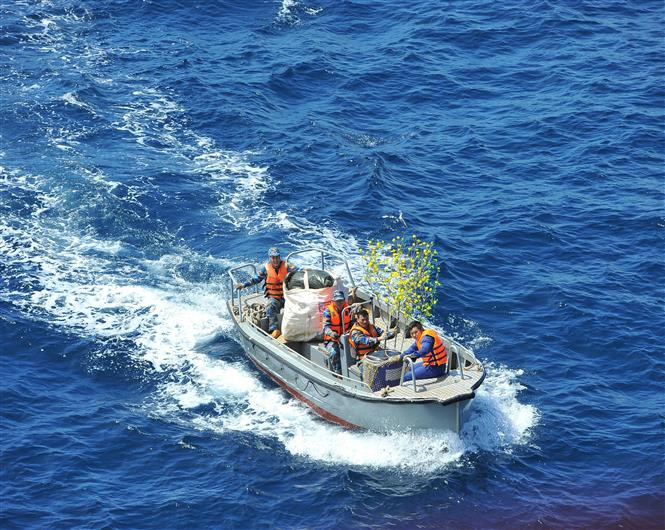 El ambiente del Tet reina en la plataforma con las flores típicas de la ocasión. (Foto: VNA) 
