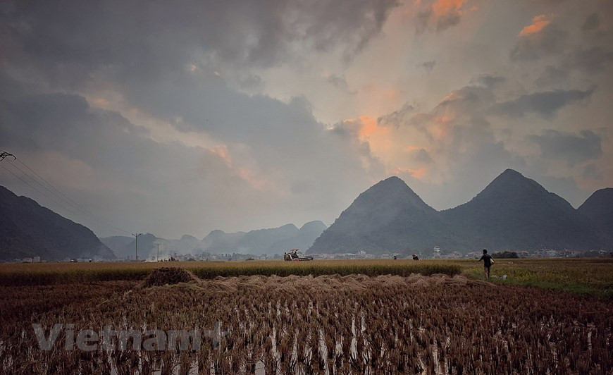 La puesta de sol cae gradualmente sobre los campos de arroz de las tierras altas de la provincia de Lai Chau. La niebla de la tarde crea una apacible escena campestre. (Foto: VNA)