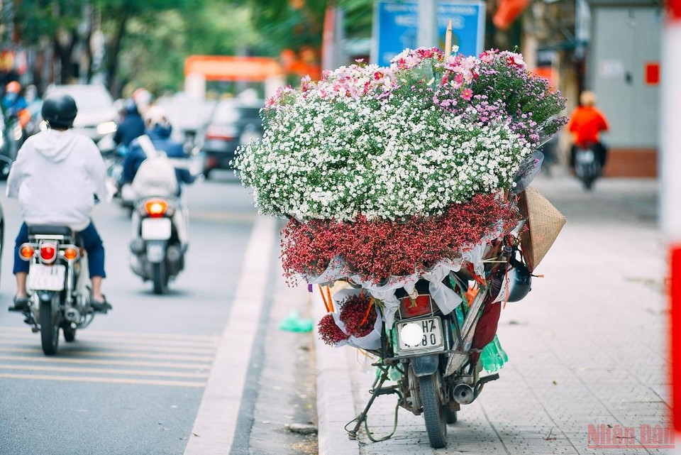 Los coloridos ramos de flores en bicicletas son una imagen familiar de Hanoi. (Fuente: nhandan)