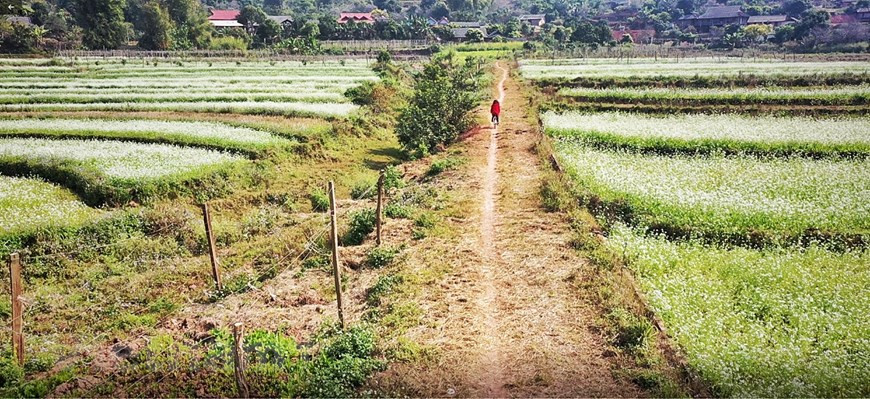 Caminos a la aldea So Luon (Foto: Vietnam+)