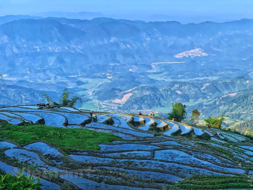 La belleza espectacular de la terraza de arroz en esta localidad vietnamita. (Foto: VNA)