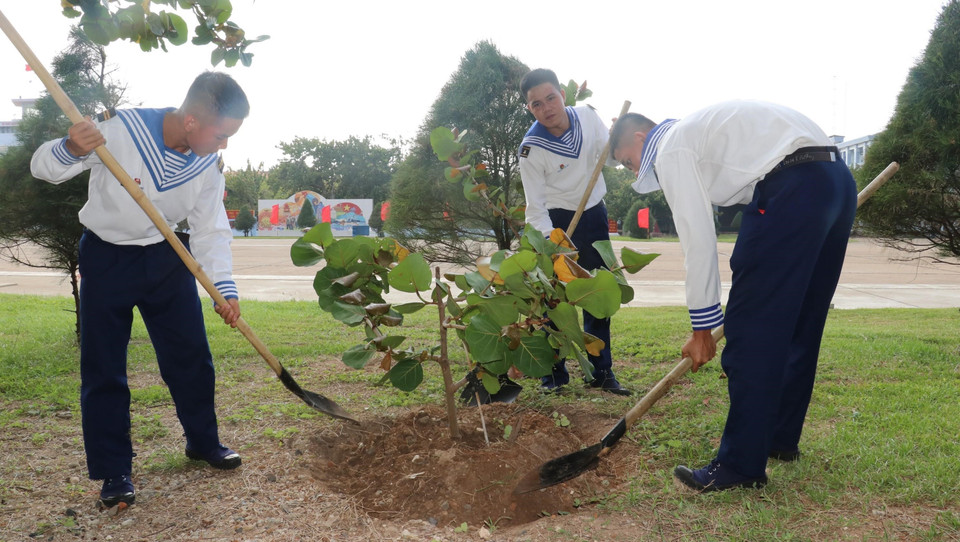 Los soldados cultivan el árbol Barringtonia asiática en la isla. (Foto: VNA)
