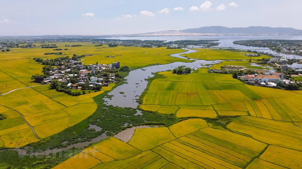 Desde la distancia, la imagen de la obra rodeada por los inmensos campos verdes parece un cuadro. (Foto: Minh Son / Vietnam +)