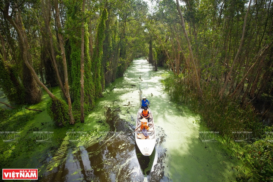 Los visitantes experimentan la vida fluvial y la naturaleza virgen en la aldea flotante de Tan Lap. (Foto: Revista Vietnam)