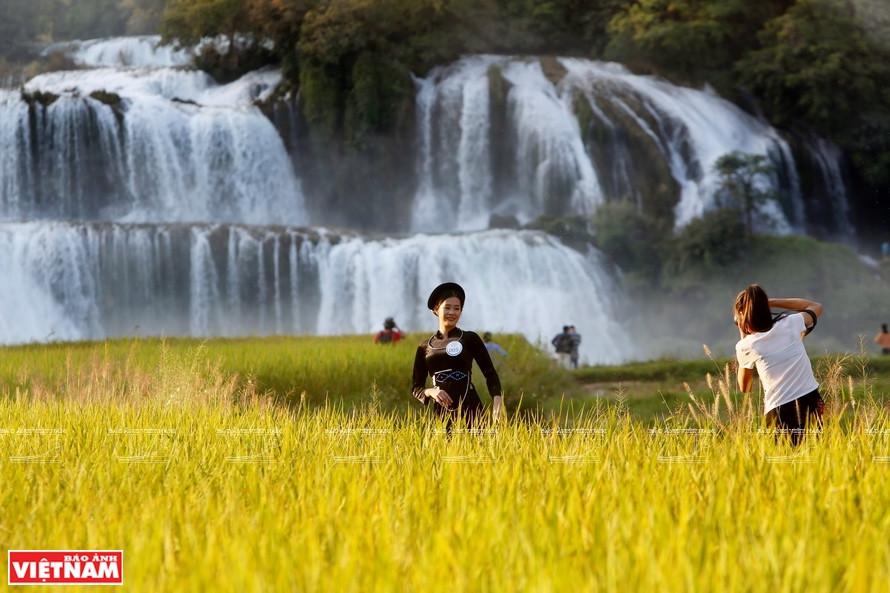 El complejo turístico de la cascada de Ban Gioc, en Trung Khanh, atrae a numerosos visitantes locales y extranjeros. (Foto: Revista Vietnam)