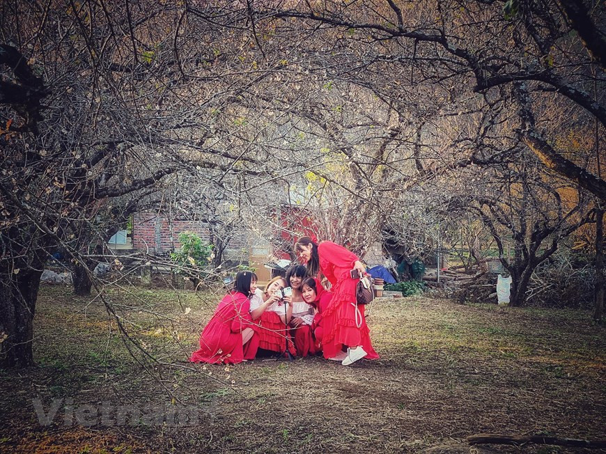 Un grupo de amigas procedentes de la provincia de Quang Ninh toman fotos de las flores. (Fuente: VNA)
