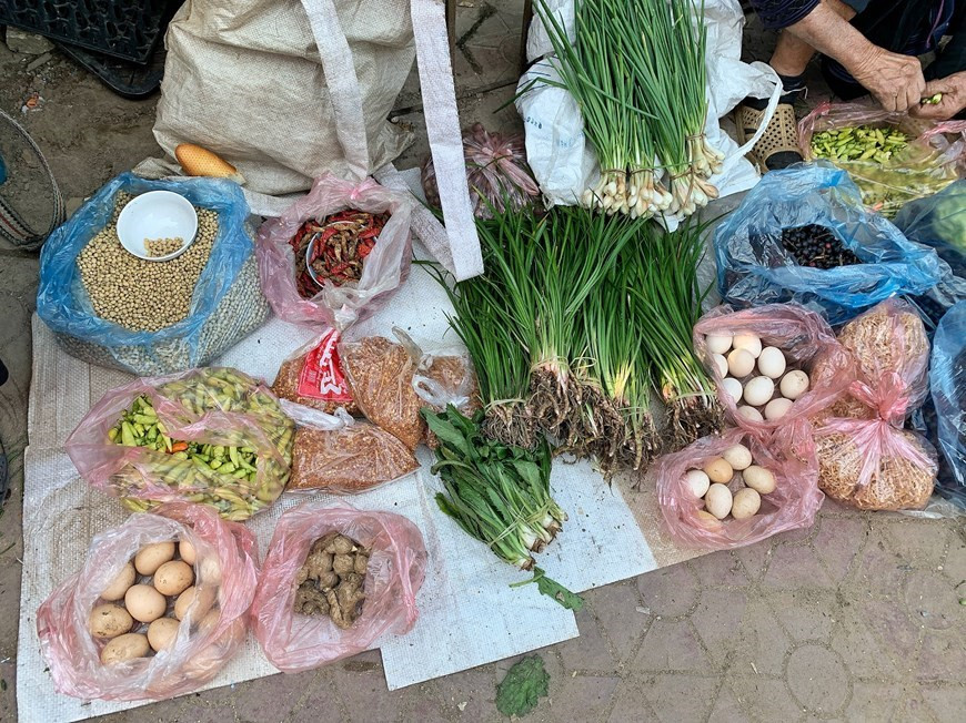 La minoría étnica Ha Nhi, conocida por su diligencia, vive cerca de la naturaleza. Vive del cultivo de arroz. Son uno de los grupos experimentados en la creación de campos de arroz en las laderas de las montañas. Utiliza arados y rastras tiradas por bueyes o búfalos para trabajar en los campos. También desarrolla su ganadería, tejido de telas y cestería. A principios de abril, los turistas también serán recibidos por las flores de rododendros, que cubren la región con un tono rosa violeta. Además de cultivar arroz en campos en terrazas para la autoabastecimiento, los residentes locales también cultivan algodón y tejen telas para hacer los trajes tradicionales de su grupo étnico. (Foto: Vietnam+)