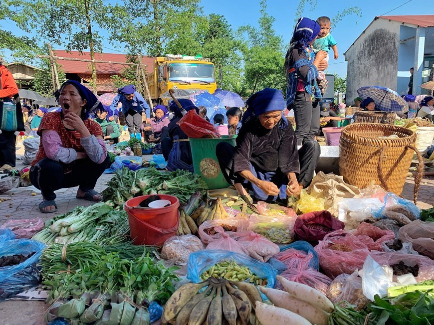 El mercado rural de Y Ty en el distrito de Bat Xat, de la provincia norteña vietnamita de Lao Cai, se abre todos los sábados temprano en la mañana cuando la zona montañosa aún está cubierta de niebla intensa. Es un sitio favorito para reunirse, vender y comprar los productos locales de los habitantes de los grupos étnicos Ha Nhi, Dao Rojo, Day y Mong, que viven en esta localidad. Los pobladores locales suelen vender los productos cultivados por ellos mismos en el mercado de Y Ty. Son principalmente verduras y frutas de los Ha Nhi que habitan en los pueblos cercanos al mercado. (Foto: Vietnam+)