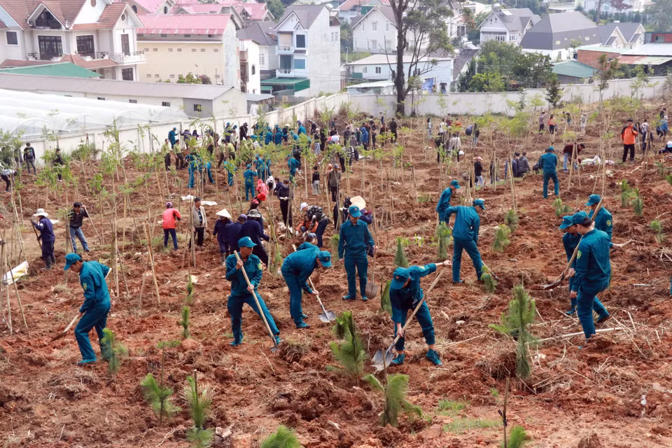 Soldados, miembros de la Unión juvenil y estudiantes de la ciudad de Da Lat participan en la siembra de árboles en 2020 (Foto: VNA)