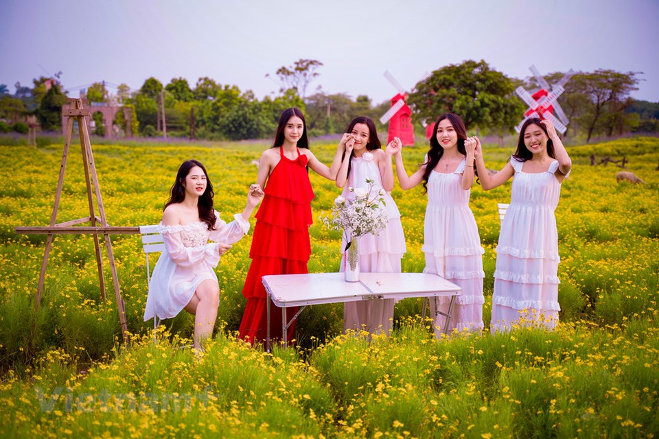 Bui Thu Phuong, estudiante de la Universidad de Phuong Dong, en la ciudad de Hanoi, confesó que ha ido con los amigos y miembros de su familia varias veces a este campo de flores de crisantemo meteorito para tomar fotografías. La primera vez que llegó hasta aquí estaba muy sorprendida por los paisajes tan hermosos del lugar. Todo el espacio del jardín parece teñido de amarrillo brillante, en combinación con el color verde de las hojas, lo cual ayuda a crear un ambiente único pues no se logra encontrar otro idéntico en Hanoi. Cada vez que vengo a este lugar, tomo fotos y me siento extremadamente satisfecha. (Fuente:Vietnamplus)