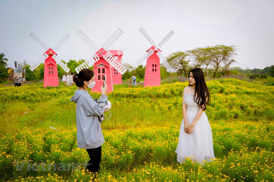 Muchas familias llevan a sus hijos al jardín de crisantemos meteoritos de Truong The Hung para guardar hermosos recuerdos. Ha Thi Hai Yen, habitante del distrito de Hoang Mai, ciudad de Hanoi, dijo que esta es la primera vez que su familia viene a este hermoso campo floral. El lugar resulta muy adecuado para las familias, allí los niños pueden acercarse a la naturaleza los fines de semana, estudiarla, aprender de ella, así como sentirse contentos por divertirse con las ovejas que andan buscando alimentos, o tal vez solo relajarse en ese ambiente. Se puede decir que el jardín de crisantemos meteoritos crea una escena romántica como el cielo de Europa en el corazón de la ciudad de Hanoi. (Fuente:Vietnamplus)