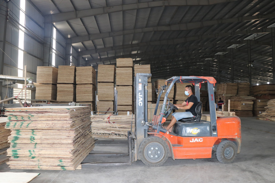 El valor de las exportaciones de los productos de madera contrachapada aumentó en un 150% en los primeros seis meses de 2021. (Foto: VNA)