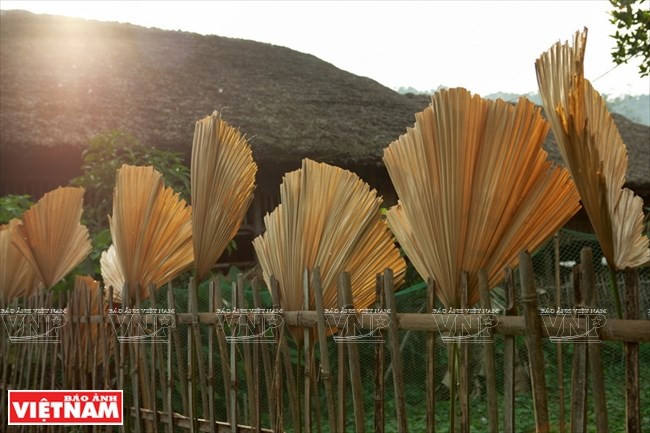 Hojas de palma colgadas en las vallas para la reparación del techo (Fuente: VNA)
