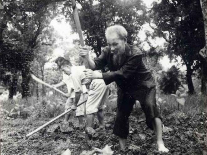 El Tío Ho aró la tierra y plantó verduras en el jardín del Palacio Presidencial (1957). Foto: VNA