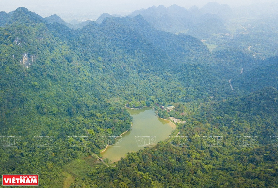 Cuc Phuong es el primer parque nacional de Vietnam, establecido en 1962 a 120 kilómetros de Hanoi, en el territorio de tres provincias: Ninh Binh, Hoa Binh y Thanh Hoa. (Fuente: VNA)