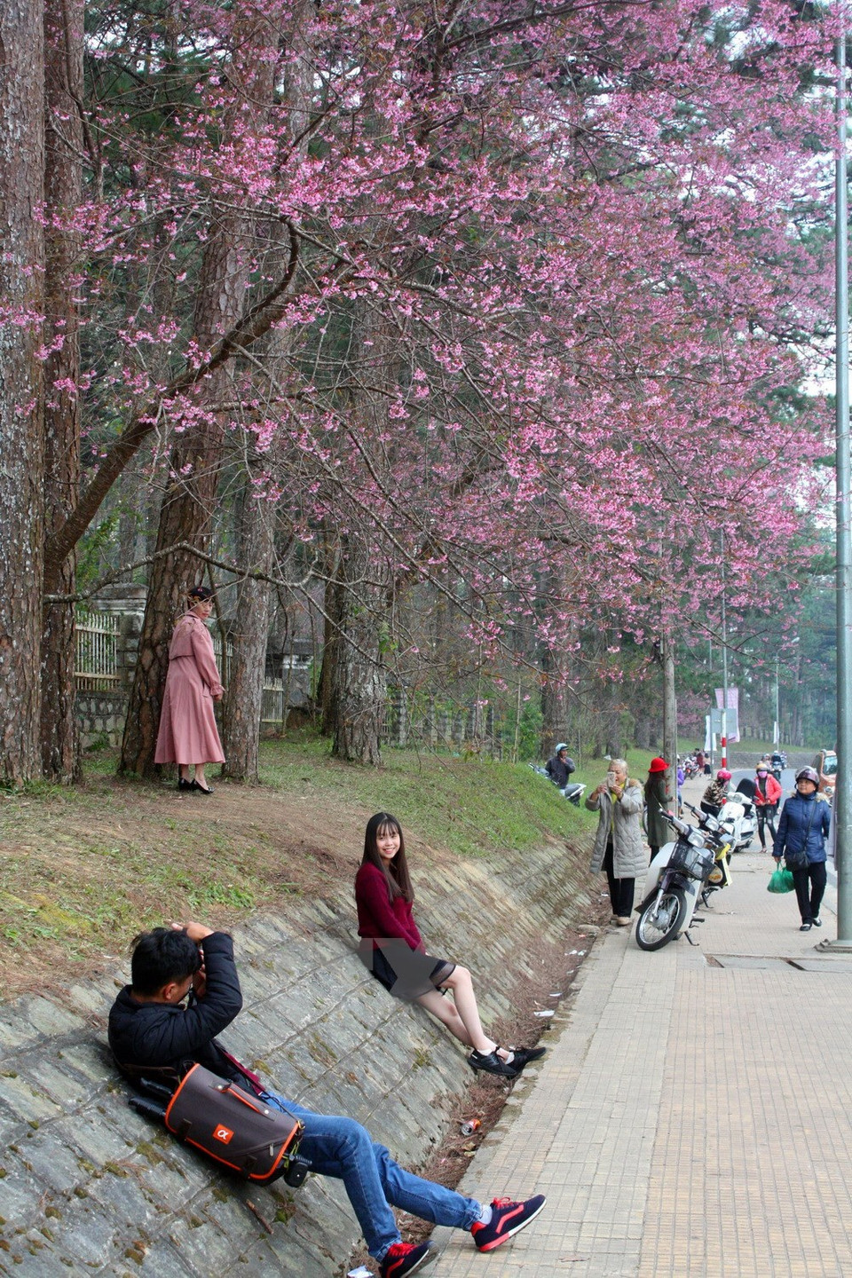 Visitantes disfrutan la belleza del lugar (Fuente: VNA)