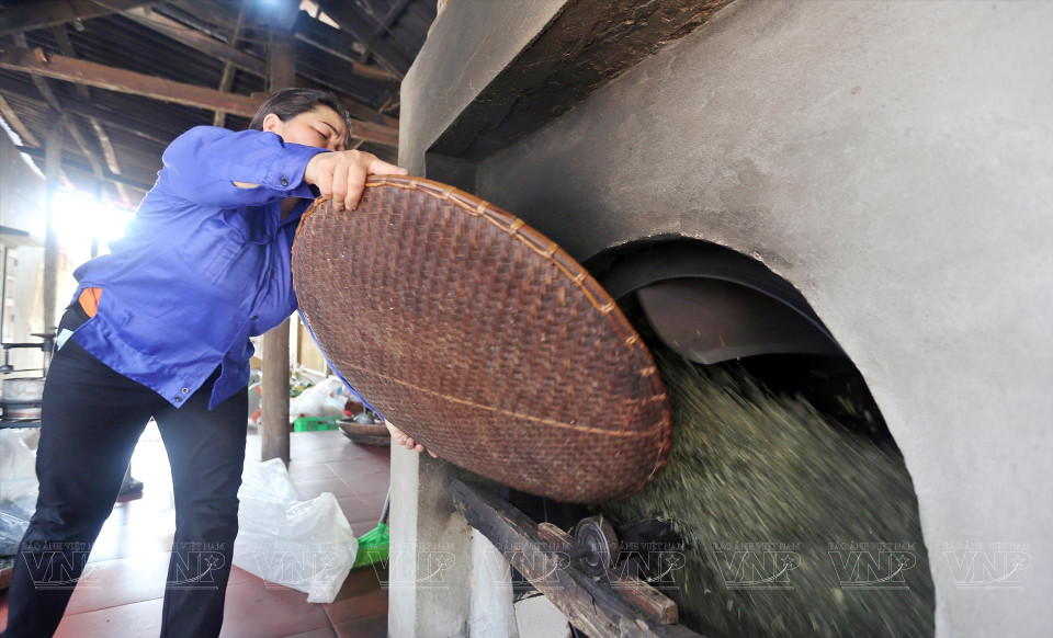 El procesamiento del té en la Cooperativa de producción de té segura en la comuna de Long Coc (Fuente: Revista Ilustrada de Vietnam)