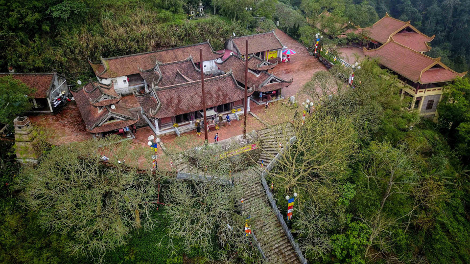 La pagoda Hoa Yen, en el complejo histórico y paisajístico de Yen Tu, cuenta actualmente con tres árboles de más de 700 años de antigüedad. (Foto: VNA)