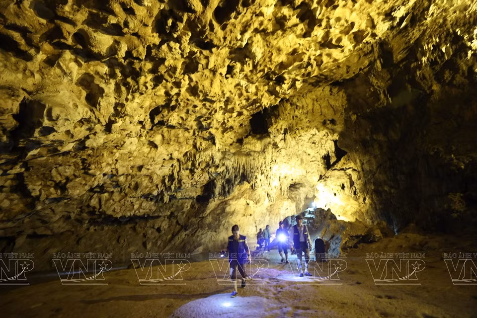 Muchas estalactitas extrañas hacen que los visitantes se sientan abrumados. Foto: Revista Vietnam