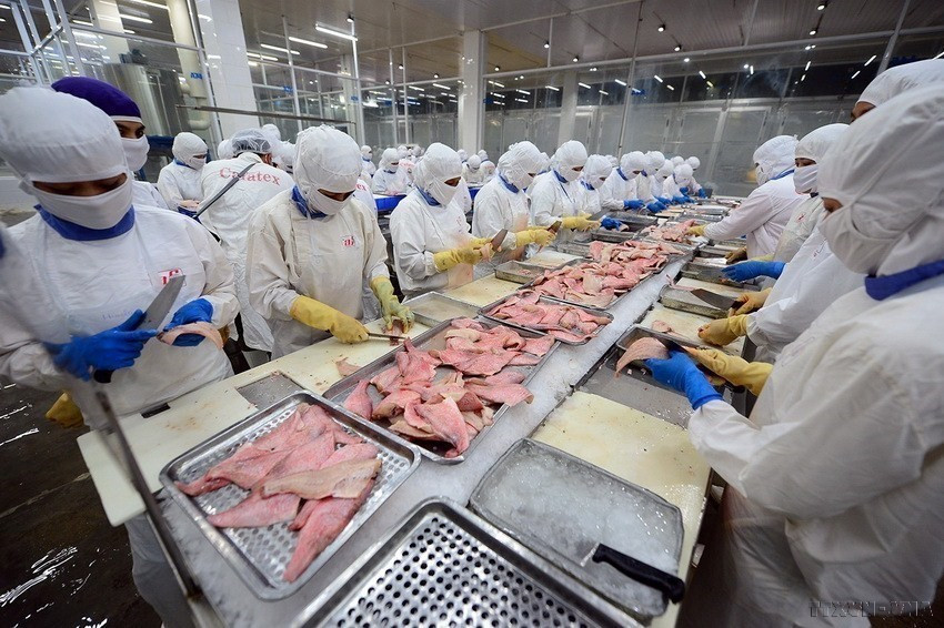 La economía y el comercio son un punto destacado y también un pilar prioritario de la asociación estratégica entre ambas naciones. Los productos vietnamitas con ventajas para exportarse mercado británico incluyen pescados y mariscos. Foto: VNA