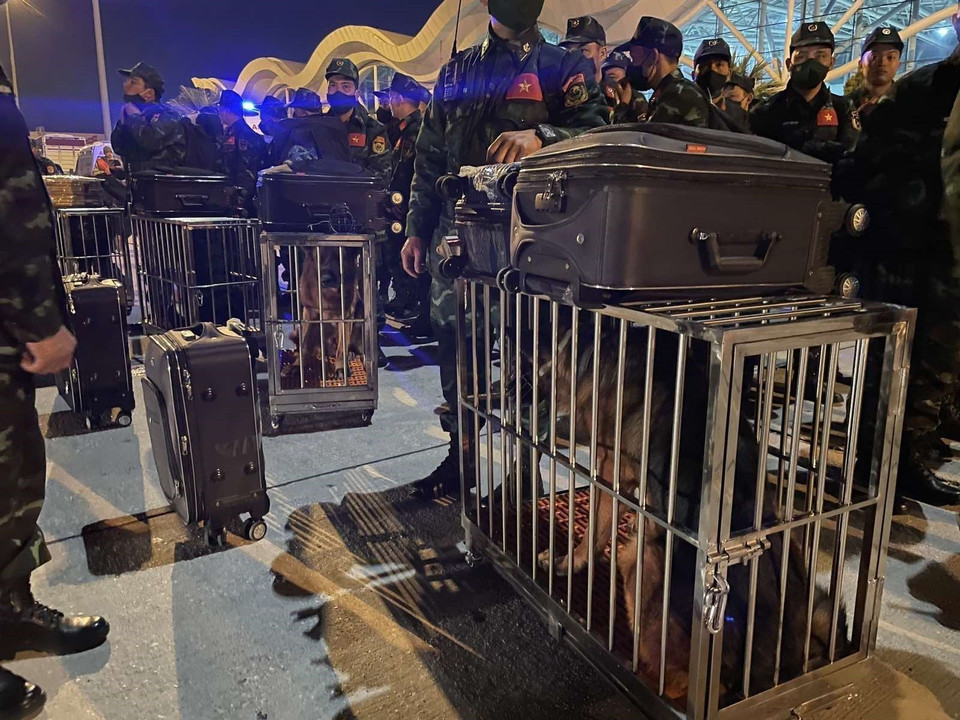 Miembros de la fuerza de rescate llevan equipos y perros de servicio para las labores de salvamento. (Foto: VNA)