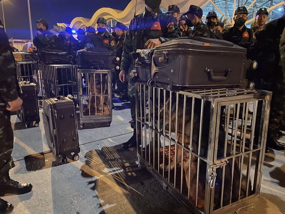 Miembros de la fuerza de rescate llevan equipos y perros de servicio para las labores de salvamento. (Foto: VNA)