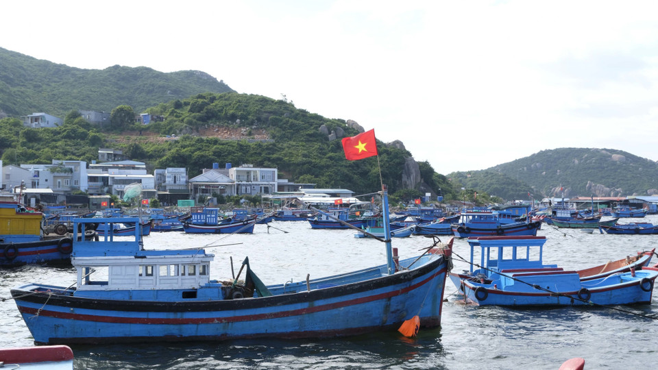 El 85 por ciento de los hogares de residentes en la isla de Binh Ba se dedican a la cría de langostas en el mar (Foto: VNA)