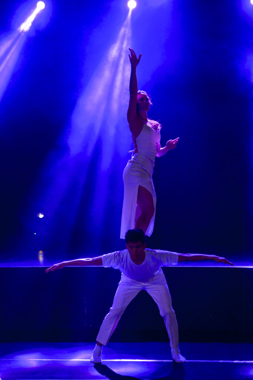 Artistas vietnamitas brindaron al evento diferentes actuaciones particulares (Fuente: Vietnamplus)