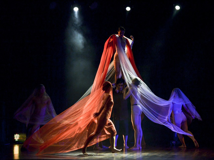 Un performance de artistas vietnamitas (Fuente: Vietnamplus)